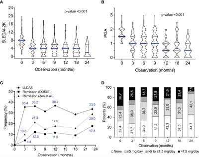 Clinical response trajectories and drug persistence in systemic lupus erythematosus patients on belimumab treatment: A real-life, multicentre observational study